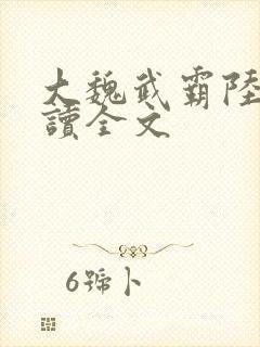 大魏武霸陆泽阅读全文封面