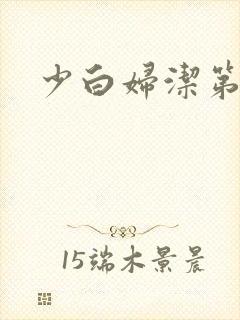 少白妇洁第二部