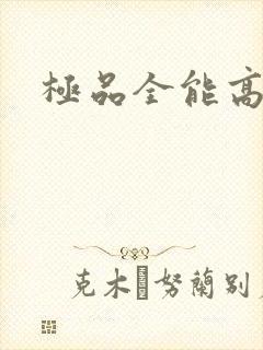 极品全能高手