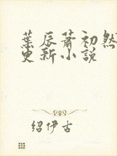 叶辰萧初然最快更新小说封面