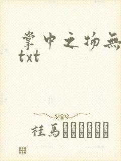 掌中之物无删减txt封面