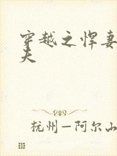 穿越之悍妻共三夫封面