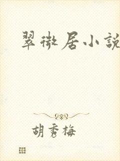 翠微居小说