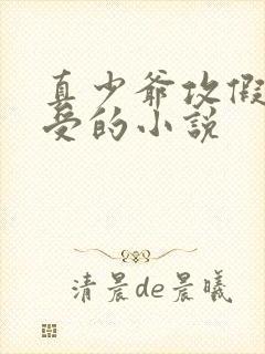 真少爷攻假少爷受的小说