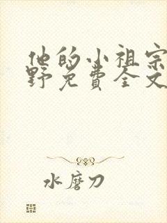 他的小祖宗甜又野免费全文下载