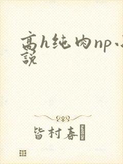 高h纯肉np小说