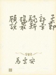 顾砚骁许柔汐小说最新章节更新时间