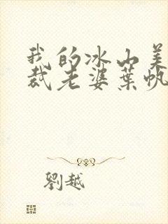 我的冰山美女总裁老婆叶帆