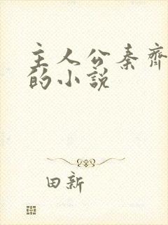 主人公秦齐林洁的小说封面