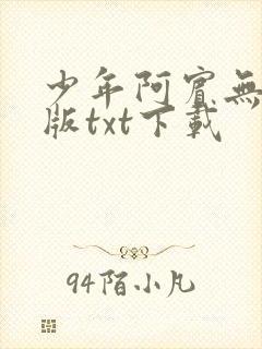 少年阿宾无删减版txt下载