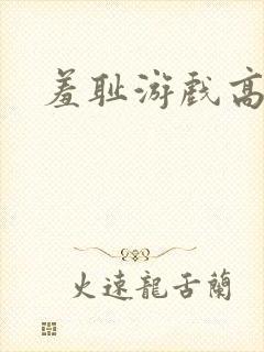 羞耻游戏高h封面