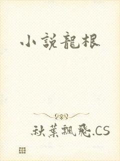 小说龙根