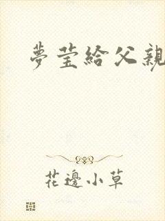 梦莹给父亲治病封面