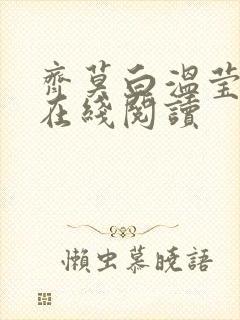 齐莫白温莹小说在线阅读封面