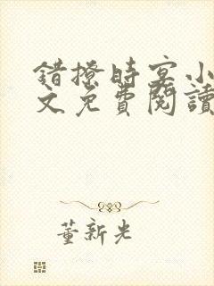 错撩时宴小说全文免费阅读无弹窗封面