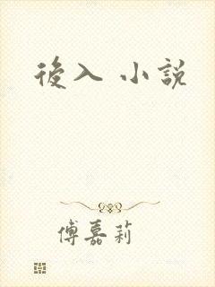后入 小说