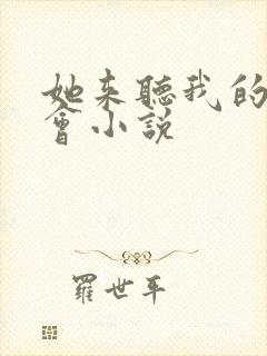 她来听我的演唱会小说