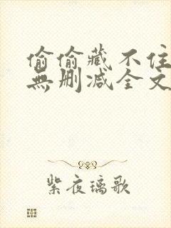 偷偷藏不住竹已无删减全文