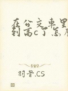 在公交车里c弄到高c了怎么办封面
