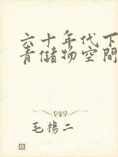 六十年代下乡知青储物空间