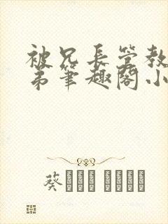 被兄长管教的弟弟笔趣阁小说封面