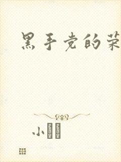 黑手党的荣耀