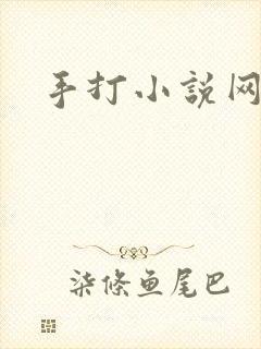 手打小说网