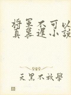 将军不可以魏云真慕迟小说笔趣阁