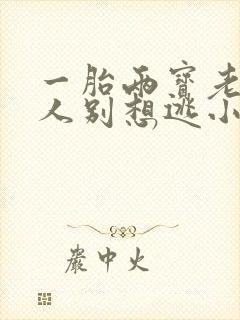 一胎两宝老婆大人别想逃小说封面
