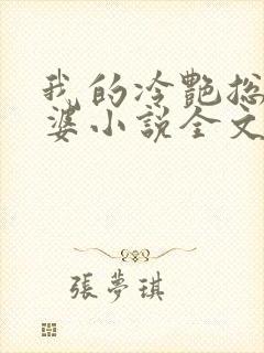 我的冷艳总裁老婆小说全文阅读