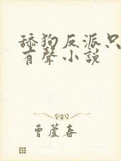 舔狗反派只想苟有声小说