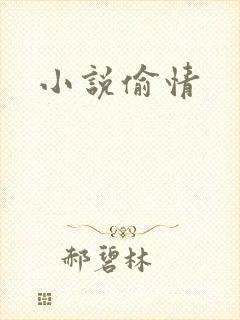 小说偷情封面