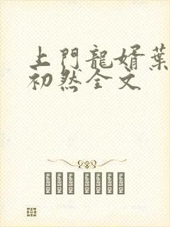 上门龙婿叶辰萧初然全文