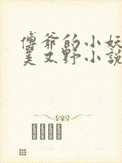傅爷的小妖精又美又野小说
