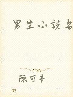 男生小说名字