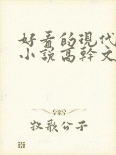 好看的现代言情小说高干文