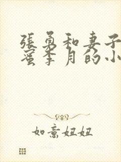 张勇和妻子的闺蜜李月的小说