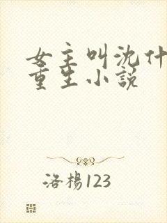 女主叫沈什么的重生小说