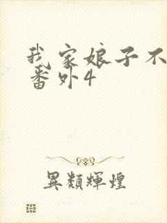 我家娘子不对劲番外4