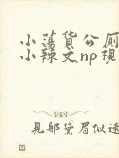 小荡货公厕h文小辣文np视频