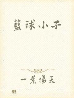 篮球小子封面