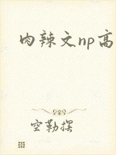 肉辣文np高h