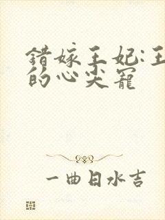 错嫁王妃:王爷的心尖宠封面