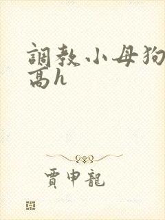 调教小母狗小说高h封面