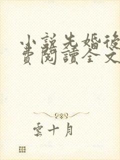 小说先婚后爱免费阅读全文