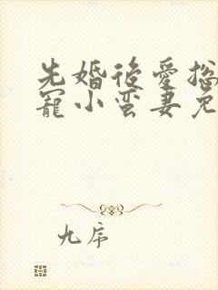 先婚后爱总裁娇宠小蛮妻免费阅读
