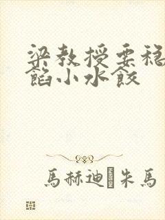 梁教授要稳住肉馅小水饺