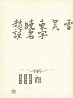赵晓东吴雪晴小说名字