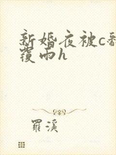 新婚夜被c翻云覆雨h封面