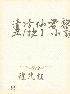 清冷仙君黎锦【丑/攻】小说封面